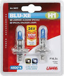 Lampa Lamps Car Blu-Xe H1 Halogen 4500K Natural White 24V 100W 2pcs