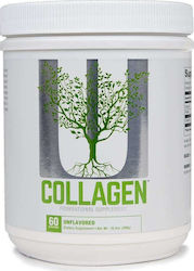 Universal Nutrition Colagen 300gr Neîndulcit Universal Nutrition Colagen 300gr Neîndulcit