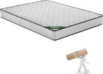 Woodwell Single Orthopedic Mattress Roll Pack 90x200x19cm with Springs