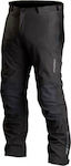 Riding Pants