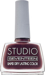 Seventeen Studio Rapid Trocknen Dauerhaft Farbg...