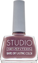 Seventeen Studio Rapid Trocknen Dauerhafter Far...