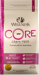 Wellness Core Sterilised Ocean Dry Food Grain-Free & Gluten-Free for Adult Sterilized Cats with Sensitive Urinary with Salmon 0.3kg