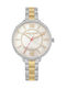 Daisy Dixon Bella Women's Watch with Gold Metal Bracelet