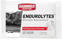 Hammer Nutrition Endurolytes 4 caps