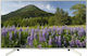 Sony Smart Τηλεόραση 55" 4K UHD LED KD-55XF7077 HDR (2018)