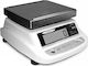 Ishida IPC-WP Electronic Commercial Scale Precision with 15kg Maximum Weight and 5g Measurement Accuracy