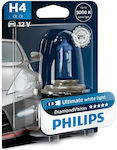 Philips Λάμπα Αυτοκινήτου DiamondVision H4 Αλογόνου 5000K 12V 60W 1τμχ
