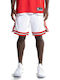 Chicago Bulls Edition Swingman Shorts Style Basketball