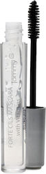 TommyG Lash Serum 4ml TommyG Lash Serum 4ml