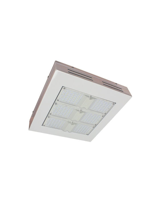 Aca Plafonieră de Exterior cu LED Integrat PET12060C