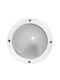 Adeleq Wall-Mounted Outdoor Turtle Light G9 IP54