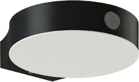 Spot Light Wall Mounted Solar Light 3W 75lm Natural White 4000K with Motion Sensor and Photocell IP44
