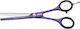 Jaguar Solingen Pastell Plus Es40 Viola Haarschneideschere 5.5"