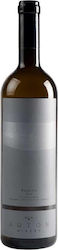 Aoton Roditis White Dry 750ml