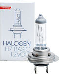 M-Tech Lamps Car & Motorcycle Standard H7 Halogen 12V 55W 1pcs