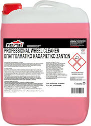 Feral Liquid Cleaning for Engine Καθαριστικό Μηχανής Συμπυκνωμένο 10lt 18638