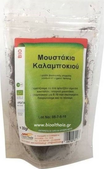 HealthTrade Mustăți de porumb Produs organic 30gr