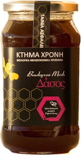 Ktima CHroni Organic Honey Forest 630gr