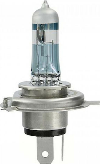 Protype Λάμπες Αυτοκινήτου Platinum H4 Αλογόνου 12V 55W 2τμχ