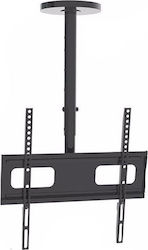 Focus Mount CMS02-44 Suport TV Plafon cu braț până la 60" și 45kg