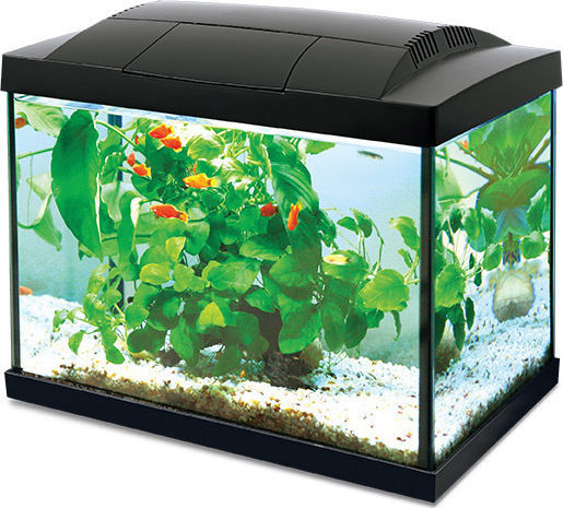 Hailea K-20 Fish Aquarium Capacity 20lt with Lighting, Filter and 36x23x29cm Black