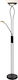 Rabalux Gamma Trend Floor Lamp H174xW32cm. with Socket for Bulb E27 Black