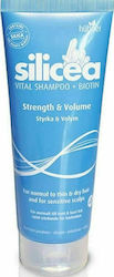 Hubner Silicea Vital Biotin Strength & Volume Σαμπουάν Όγκου για Ξηρά Μαλλιά 200ml