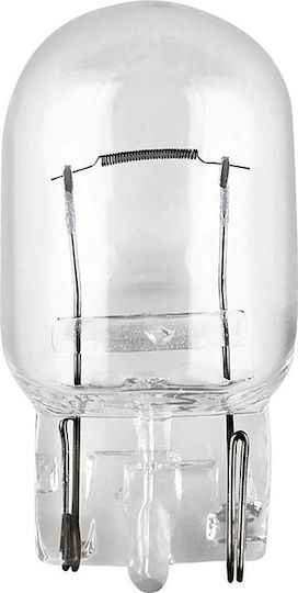 Trifa Lamps Motorcycle W21W 12V 21W 1pcs