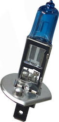 Sct Germany White Plasma Xenon Λάμπα H1 Αλογόνου