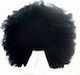 Carnival Wig Hippie Afro Brunette