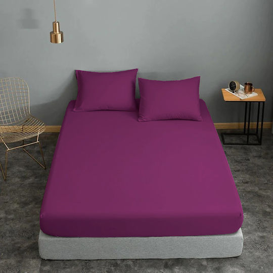 Le Blanc Cearșaf Super dublu 220x240cm. Cotton Line Purple