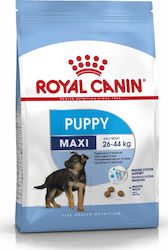 Royal Canin Maxi Puppy 10kg Trockenfutter für Welpen großer Rassen mit Reis und Schweinefleisch