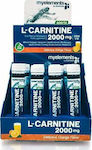 My Elements L-Carnitine Συμπλήρωμα Διατροφής με Καρνιτίνη 2000mg και Γεύση Πορτοκάλι 240ml