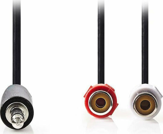Nedis Converter 3.5mm male to RCA 2x female 1pcs CAGP22250BK02