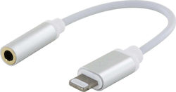 Xlayer 214355 Blitzschlag männlich zu 3.5mm weiblich