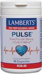 Lamberts Pulse Pure Fish Oil 1300mg & CoQ10 100mg Fish Oil 1300mg 90 caps