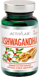 ActivLab Ashwagandha 300mg 60 Kapseln ActivLab Ashwagandha 300mg 60 Kapseln