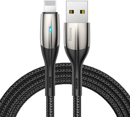 Baseus Braided USB to Lightning Cable Μαύρο 2m (CALSP-C01)