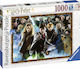 Harry Potter Puzzle 2D 1000 Stücke