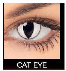 Queen's Fun & Look 5 Daily Coloured Hydrogel Contact Lenses Cat Eye White