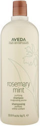 Aveda Rosmarin Minze Reinigendes Shampoo 1000ml Aveda Rosmarin Minze Reinigendes Shampoo 1000ml