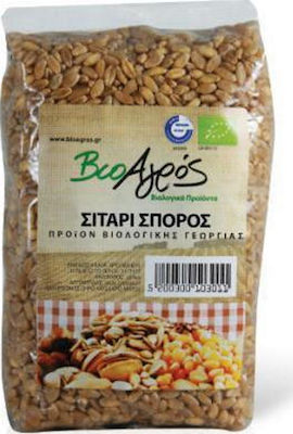 Το Ποικιλοπώλειο Σιτάρι Seeds 500gr