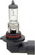 Bosch Lămpi Autoturismului & Motocicletei Pure Light H10 Halogen 12V 42W 1buc