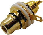 Ultimax TP2-023 Plug RCA female Gold (01.099.0057)