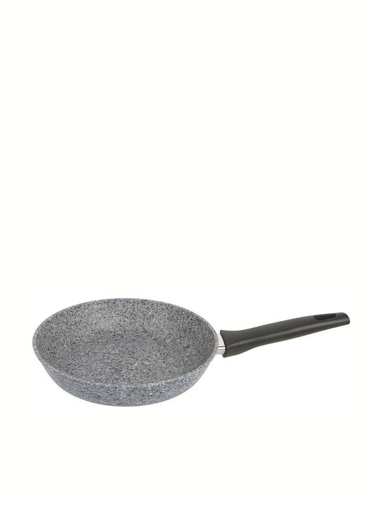 Maestro Pan made of Aluminum with Non-Stick Coa...