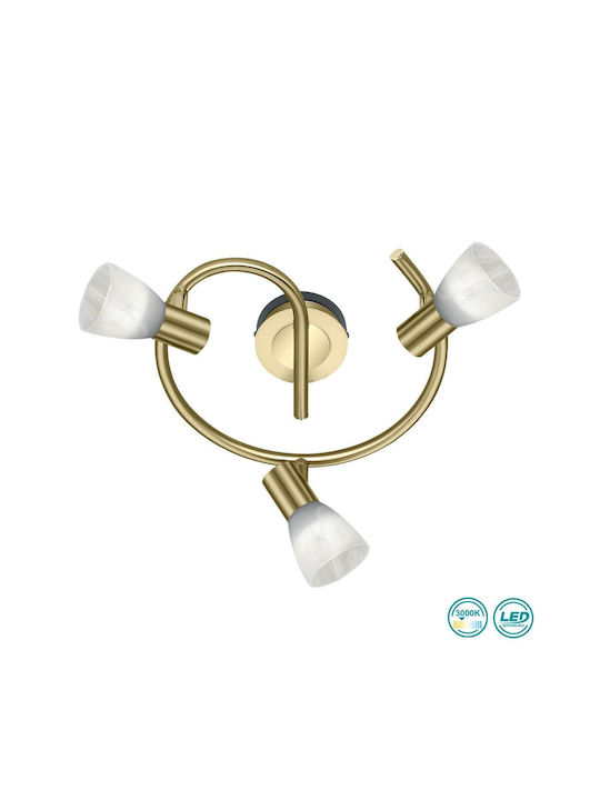 Trio Lighting Levisto Triple Spot with Socket E...