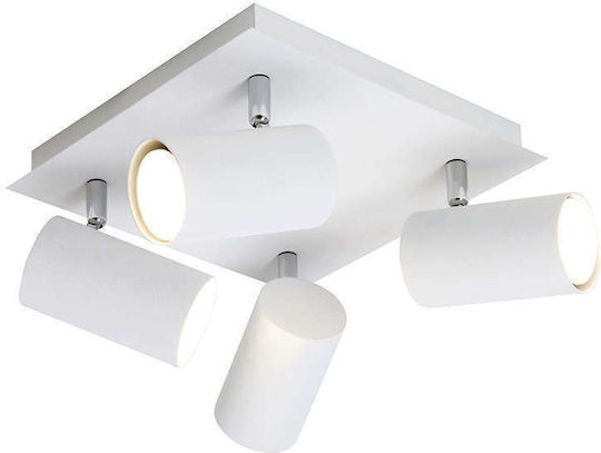 Trio Lighting 80243 Trio Lighting 80243