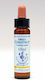 Healing Herbs Sweet Chestnut Ανθοΐαμα σε Σταγόνες για Χαλάρωση 10ml