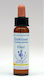 Healing Herbs Gentian Esență Florală în Picături 10ml